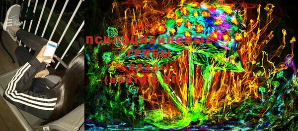 mdpv Пестово
