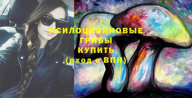 kraken маркетплейс  Белогорск  Псилоцибиновые грибы Psilocybine cubensis 