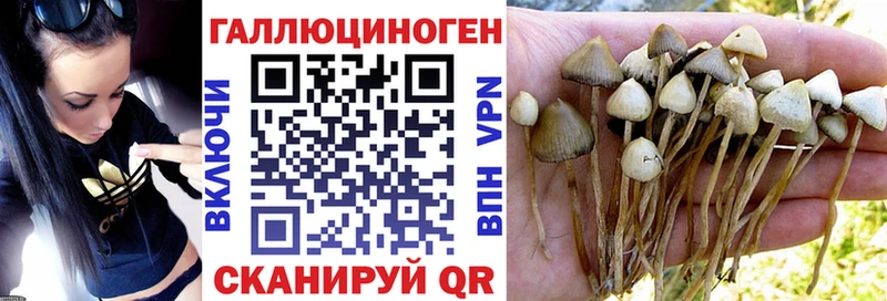 Псилоцибиновые грибы мицелий hydra онион Белогорск