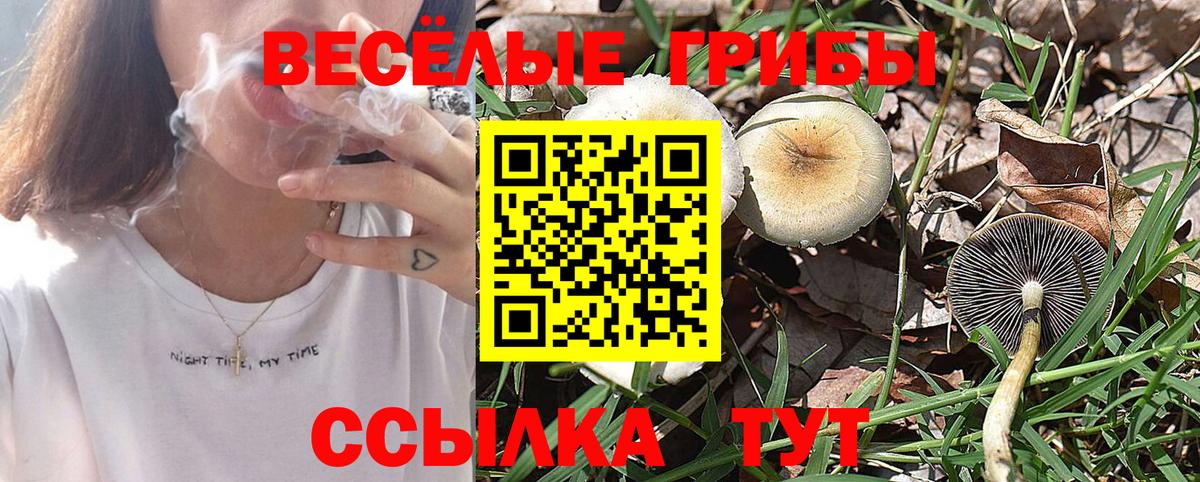 Галлюциногенные грибы мицелий  Псилоцибиновые грибы мицелий  Белогорск  Вход с VPN 