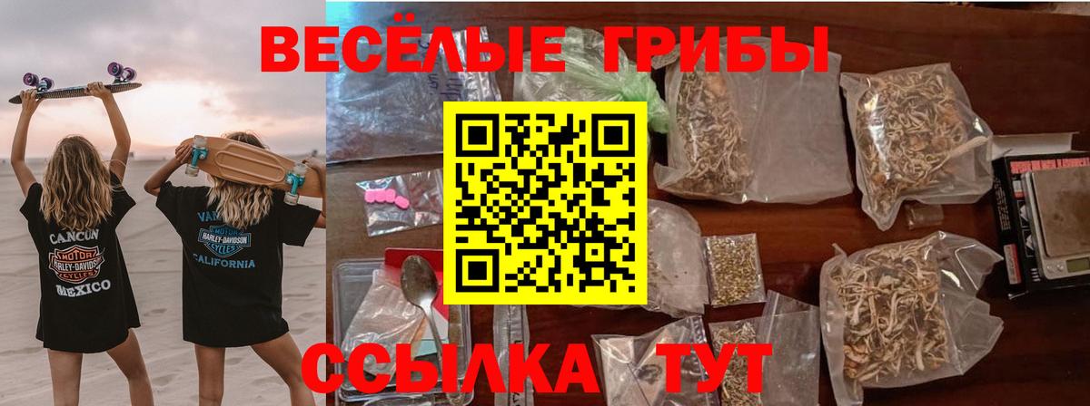 Галлюциногенные грибы Psilocybine cubensis  Белогорск 
